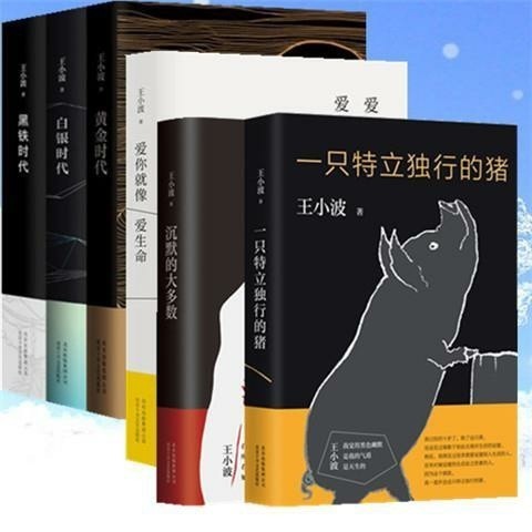 王小波的书一只特立独行的猪沉默的大多数爱你...