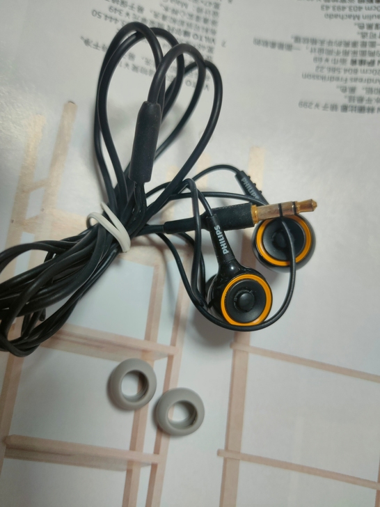 Philips/飞利浦 SHE6000 重...