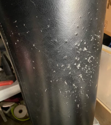 自家用拳击背面少数被猫抓了成色还行其他没毛...