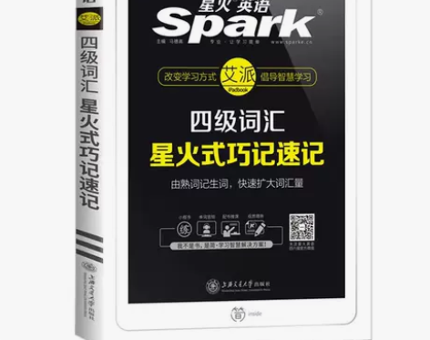 星火英语四级词汇书单词本星火英语真题四级英...
