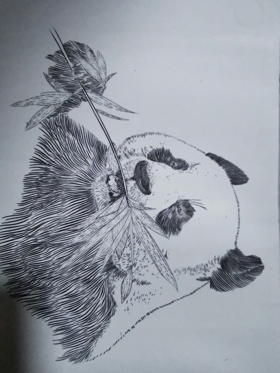 蚀刻凹版雕刻画熊猫，雕刻者：拆墙手座，熊猫...