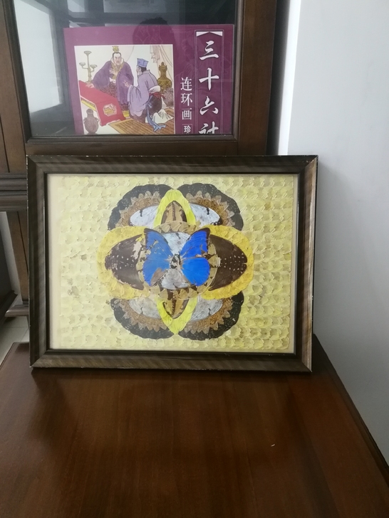 蝴蝶标本画，整副画都是各种真的蝴蝶翅膀手工...