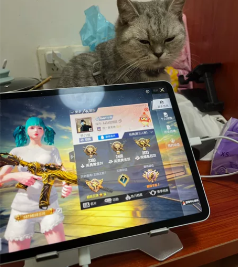 出ipad pro2021 11寸要的私聊...