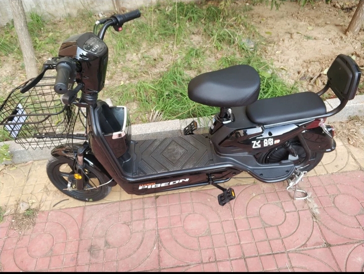 本人自用电动车买了两个月，因工作原因要去其...