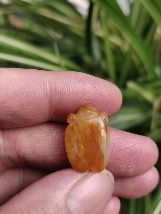 洒金皮和田白玉一鸣惊人蝉红皮白肉，宽13....