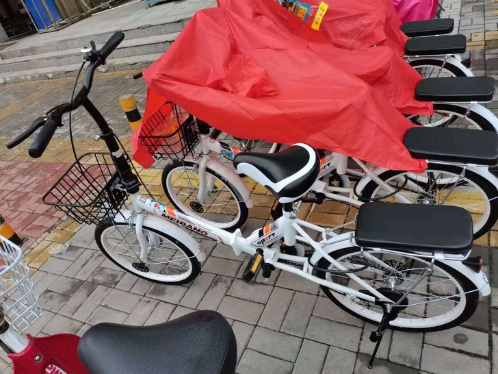 征鸽 折叠自行车 刚在淘宝买了一个月,很...