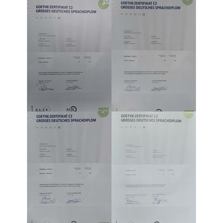 德语基础辅导 德福辅导 歌德辅导(这个月已...