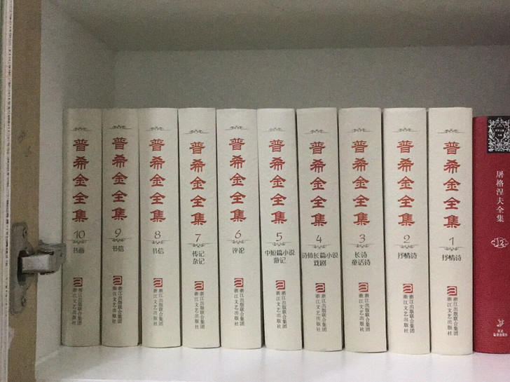 普希金全集 全10卷 99新