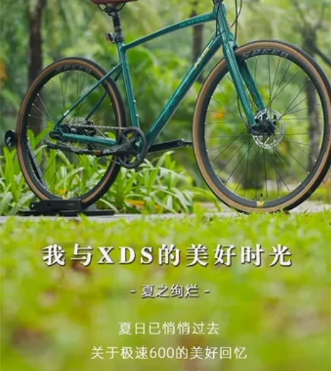 喜德盛极速600全新整车 内三速，zoom...