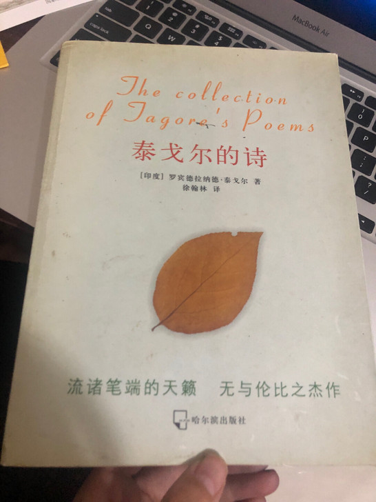 泰戈尔的诗飞鸟集诗集便宜出涨知识多读书少做梦