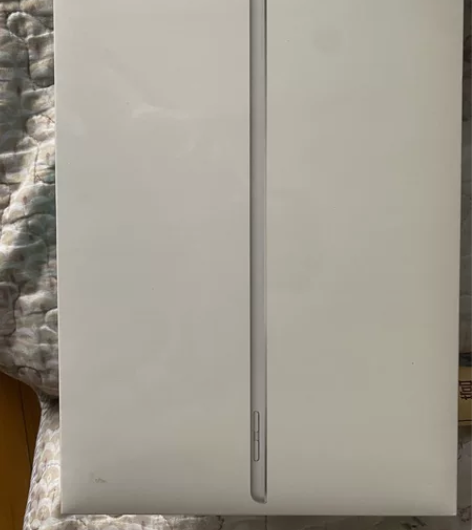 21款ipad银色内存256全新未拆封，网...
