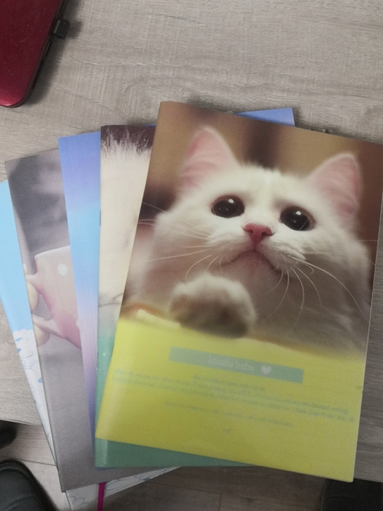 5本闲置记事本打包出售，一起25元。