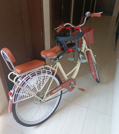 飞鸽自行车 成人复古 买回来组装好才用了几...