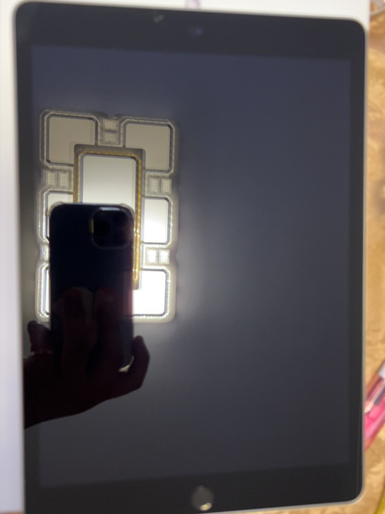 全新 全新 iPad9(2021)没用过刚...