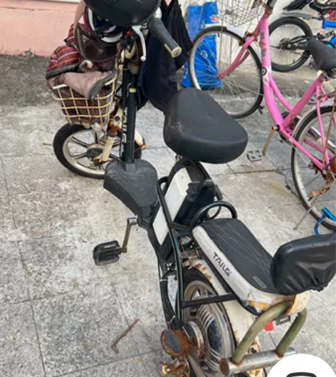 台铃电动车,电池不耐用,一直闲置,闲置前电...
