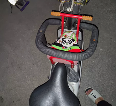 个人出闲置一台 台铃电动车48v12A带儿...