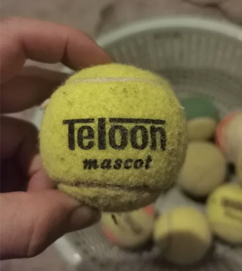 网球，练习用，打丢了也不心疼，也可作为狗狗...