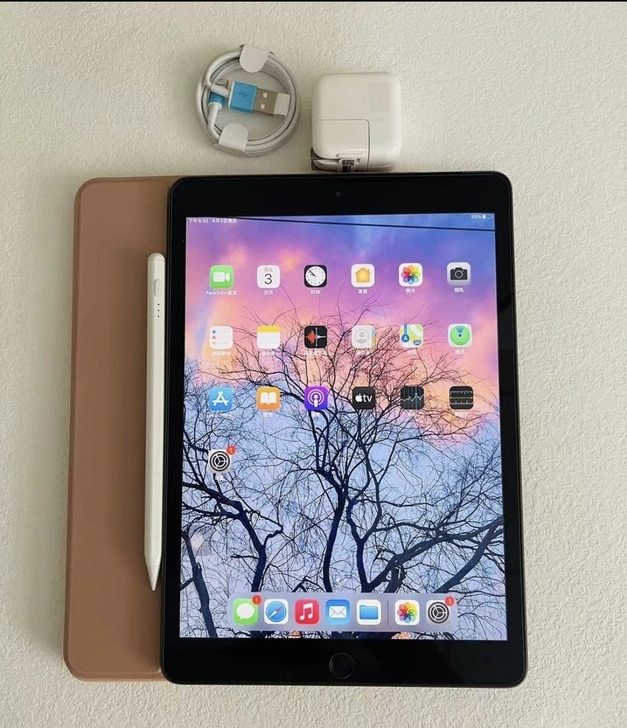 苹果平板电脑 ipad 2019款 iPa...