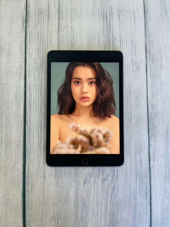 2019款iPad mini5 256g ...