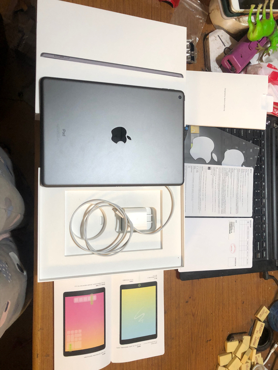 ipad 2021 9代 256g 国行 ...