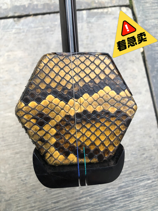 A9 黑檀木二胡 初学者二胡 着急买