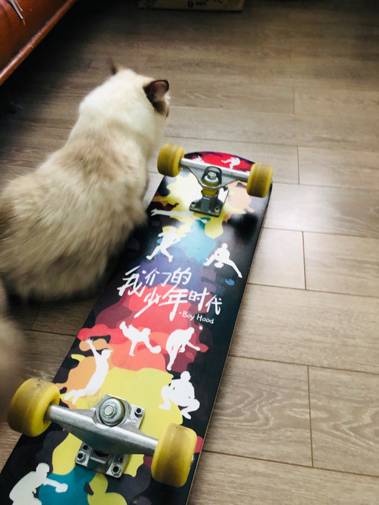 没玩过几次  闲置  看图