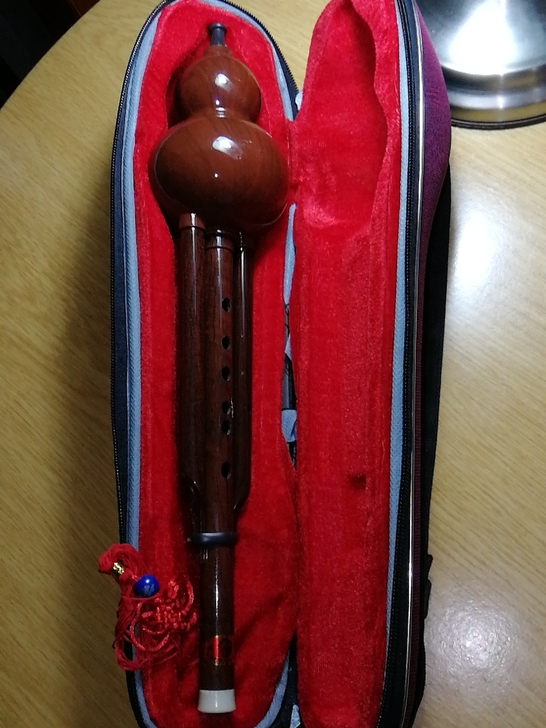 葫芦丝,全新,原来买给小孩子的,没有学一直...