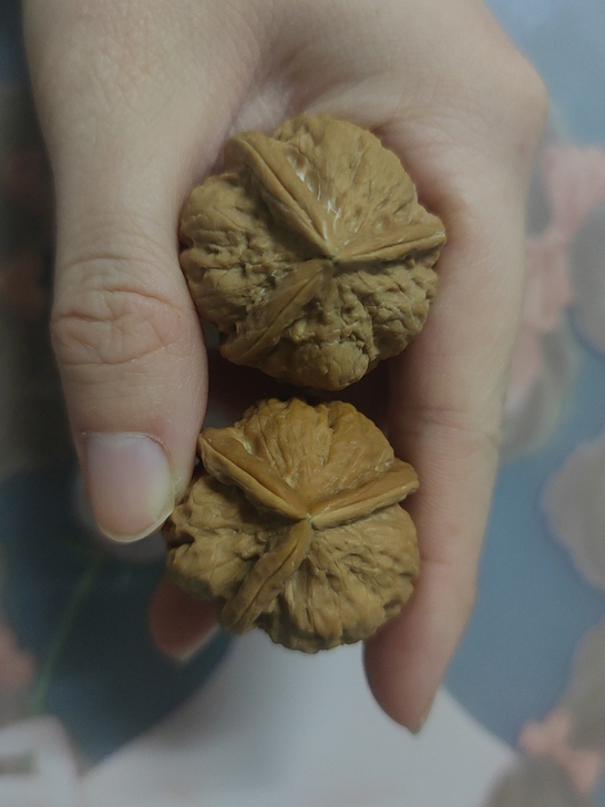 三棱,大小不记得了,不大。直播间买滴,到家...