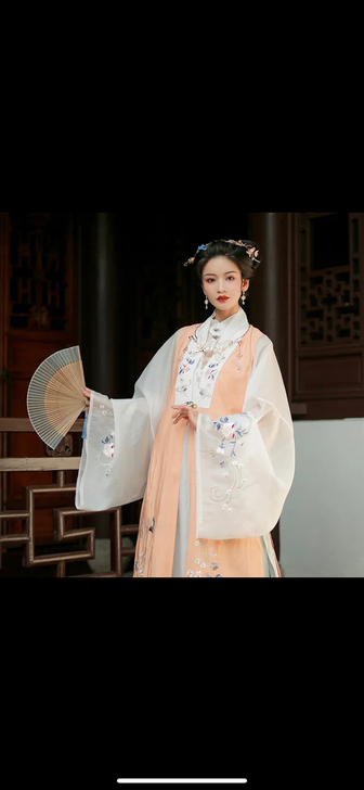 抖音买的 有记录可查 明制的汉服比甲还有吊...