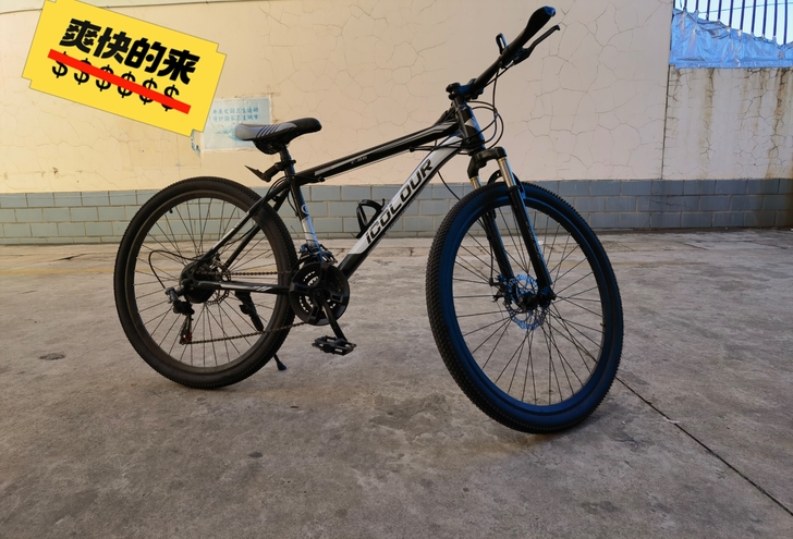 闲置自行车，买了一年多，当地实体店购入，3...