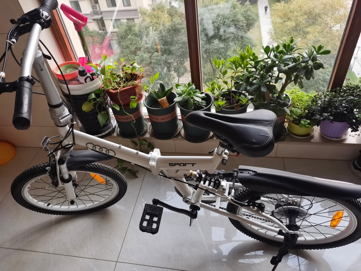 奥迪折叠自行车,九成新,700元转,可试骑...