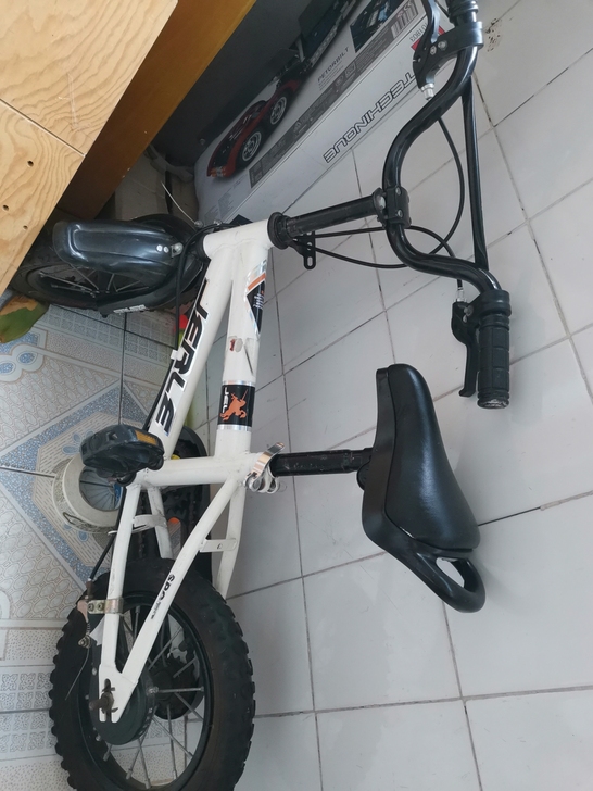 孩子小时候从当地厂家买，品牌不记得了，轮胎...