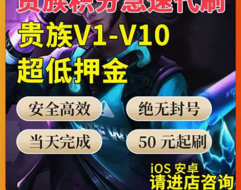 贵族低价接单王者荣耀贵族积分代升V8V10...