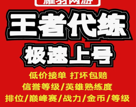 代练金币英雄战力信誉 带打巅峰赛 积分等级...