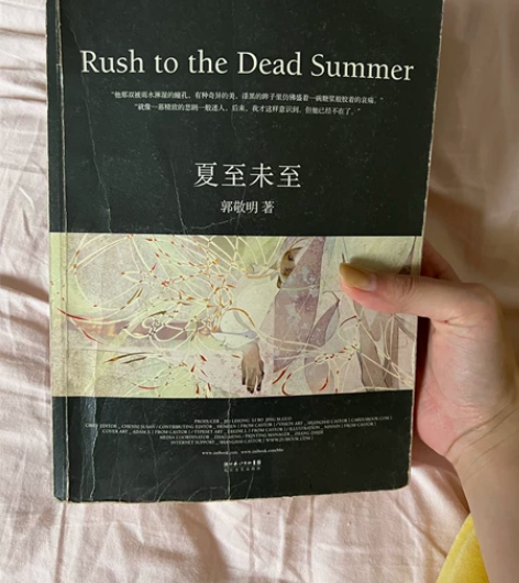 夏至未至郭敬明的,2011年买的,高中看了...