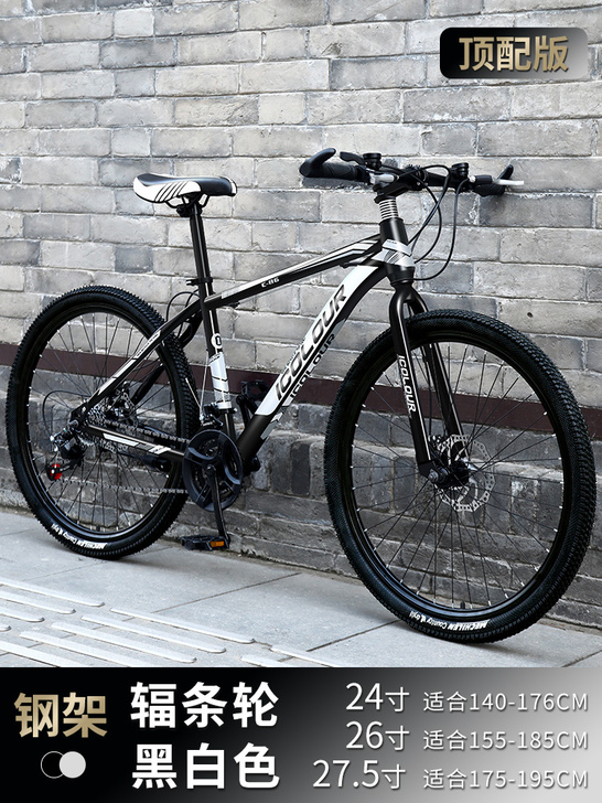 iColour 山地自行车