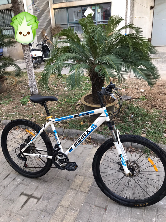 精品二手山地车白菜价