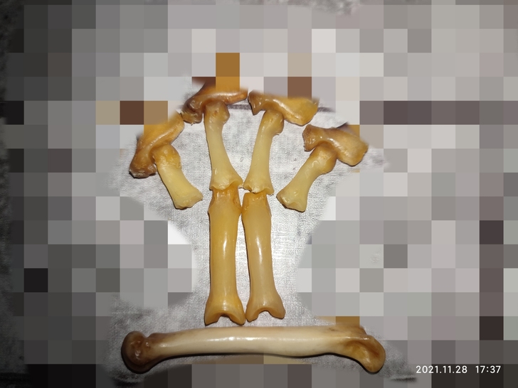 树脂工艺品，树脂指骨掌骨，舍得成大业！