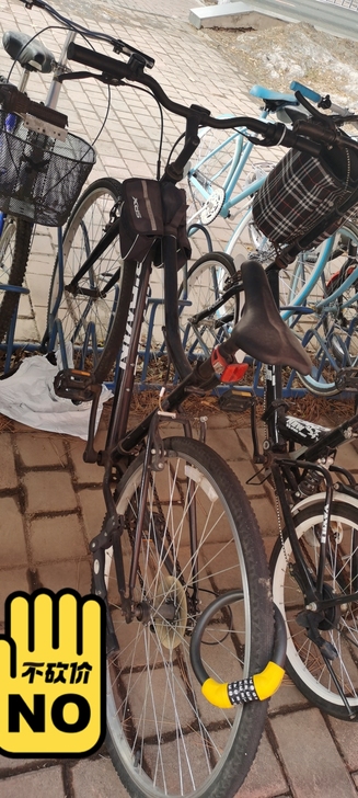 迪卡侬RIVERSIDE100,平把钢架公...