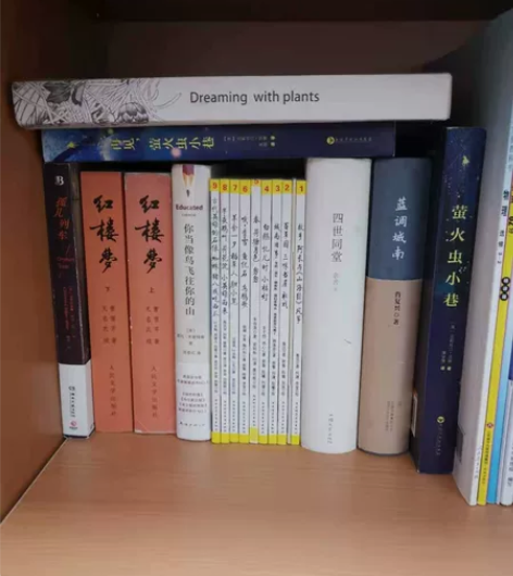 各式各样的小说名著，红楼梦，三国演义，雷雨...