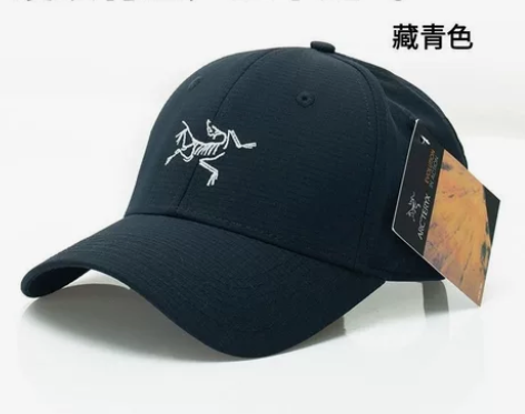 外贸始祖鸟速干帽子男女薄夏季硬顶棒球帽韩版...