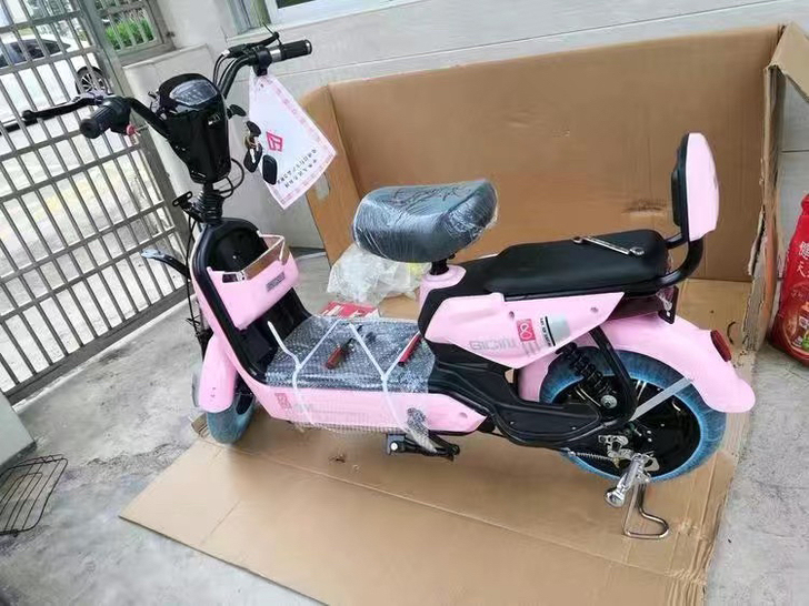 送娃神器上班便捷电动自行车全新电动车