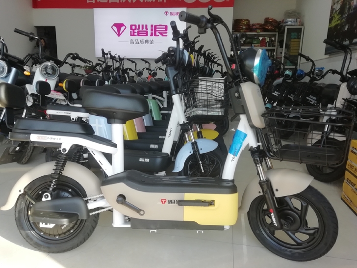 踏浪电动车，全新车，五块大电池.一口价18...