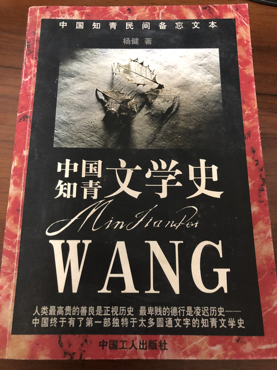 中国知青文学史 ，献给老三届的父辈，仅此一...