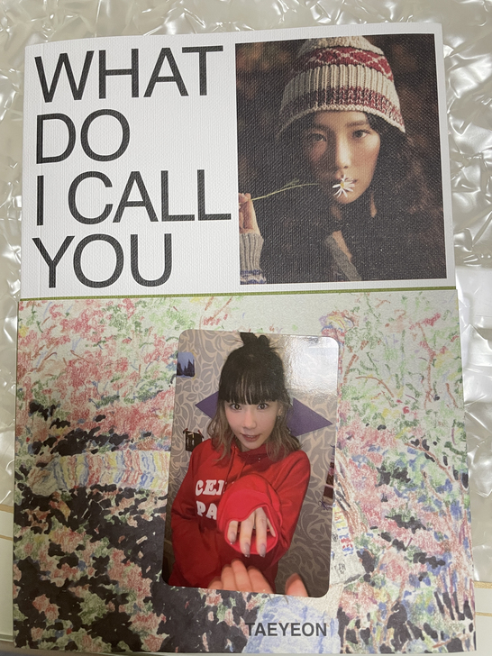 出泰妍what do I call you...