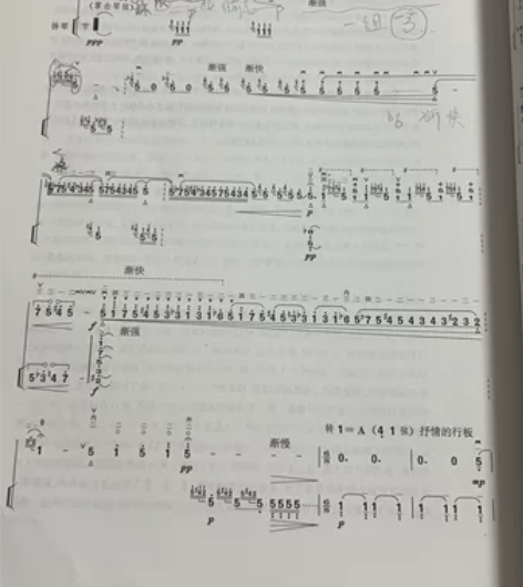 专业二胡教学一对一,线上线下都可,线下蚌埠...