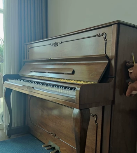 孩子死活不学钢琴了呢，怎么办呢？哎，愁死了...