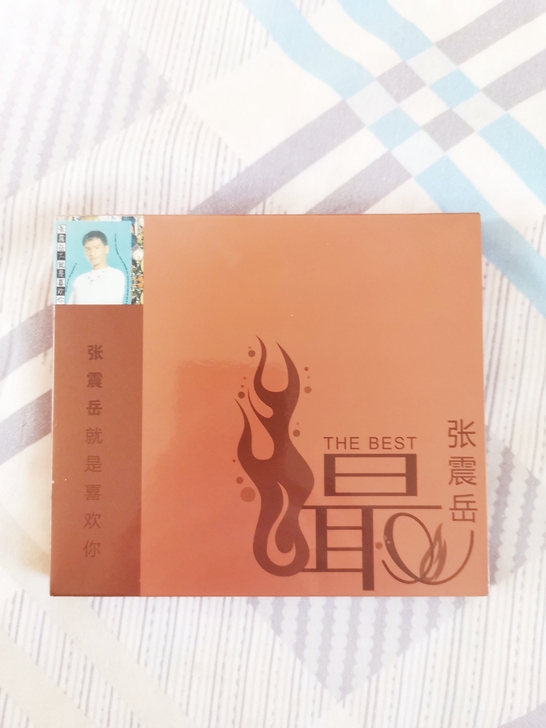 张震岳早期专辑