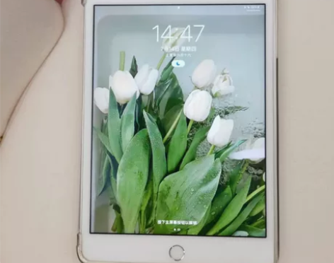 Ipadmini4代 国行原装 128g、...