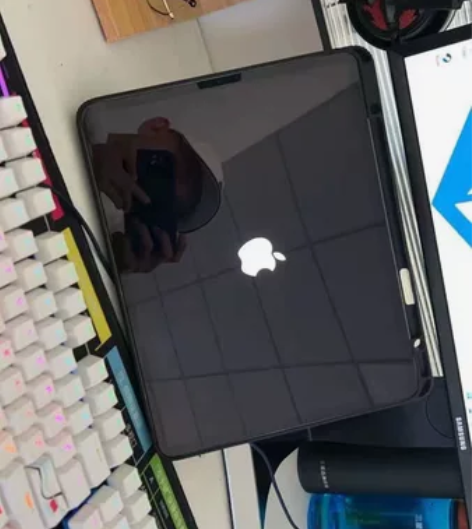苹果iPad pro2021wifi款，个...